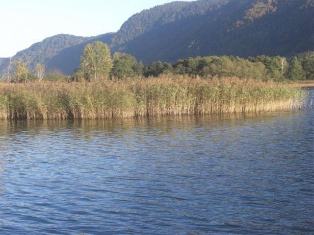 Gasthof Laggner Steindorf am Ossiacher See Dış mekan fotoğraf