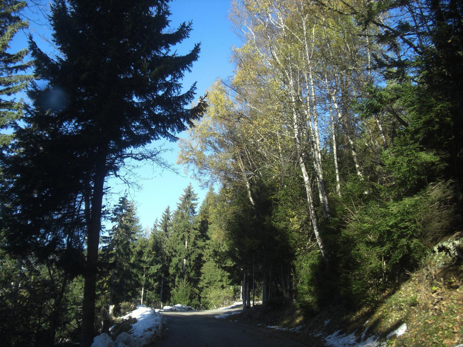Gasthof Laggner Steindorf am Ossiacher See Dış mekan fotoğraf